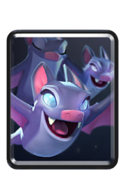 Bats